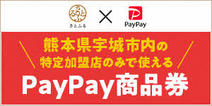 さとふる PayPay 熊本県宇城市内の特定加盟店のみで使えるPayPay商品券のバナーリンク(外部リンク)画像