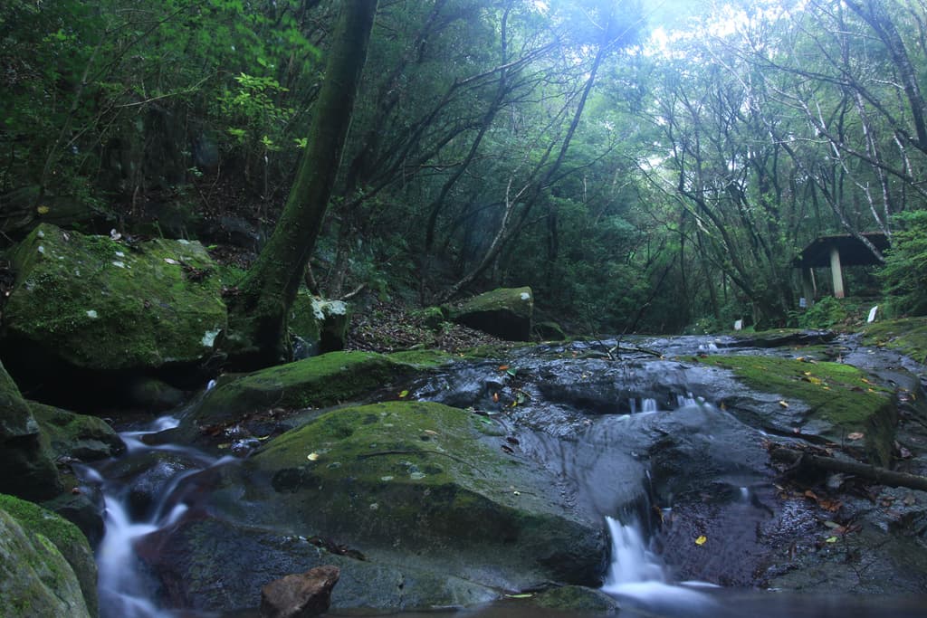 大見石畳公園の写真