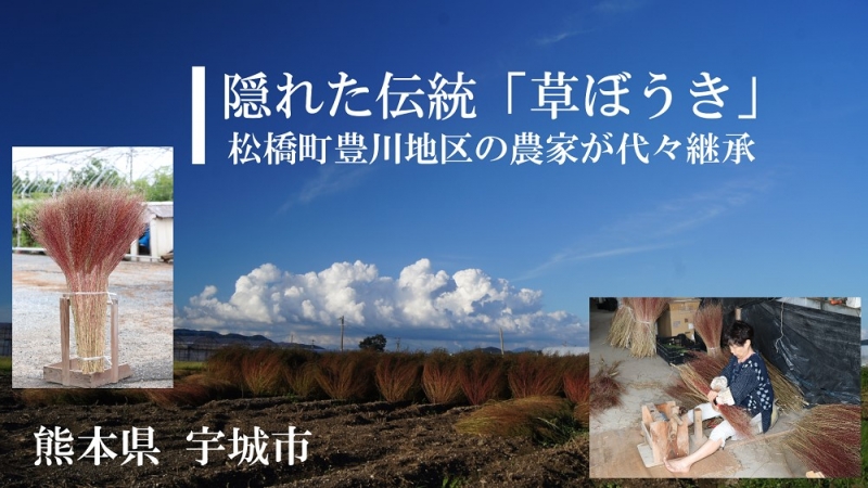 ほうき動画サムネイル　画像。隠れた伝統　草ぼうき　松橋町豊川地区の農家が代々継承　熊本県　宇城市