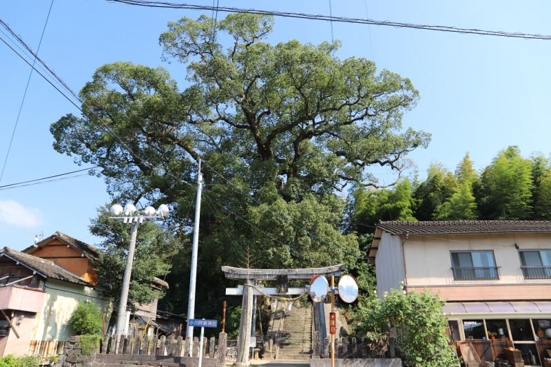 小川阿蘇神社の写真