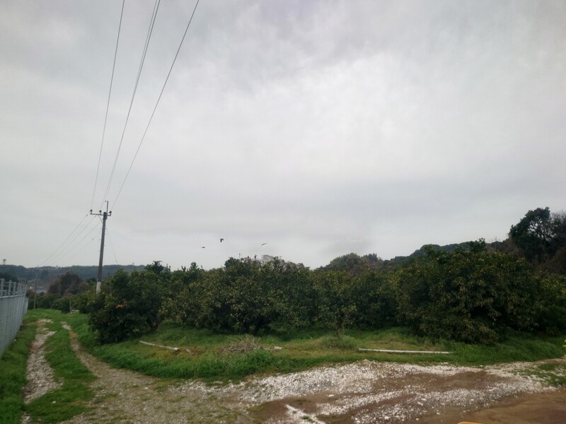 宇城市松橋町浦川内の用地写真