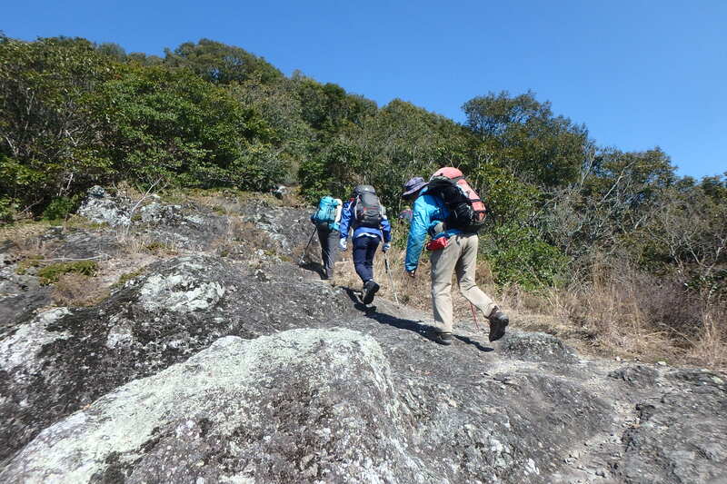 登山している様子の写真