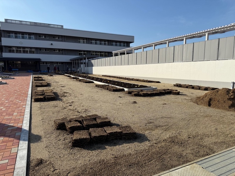 芝を植える前の様子