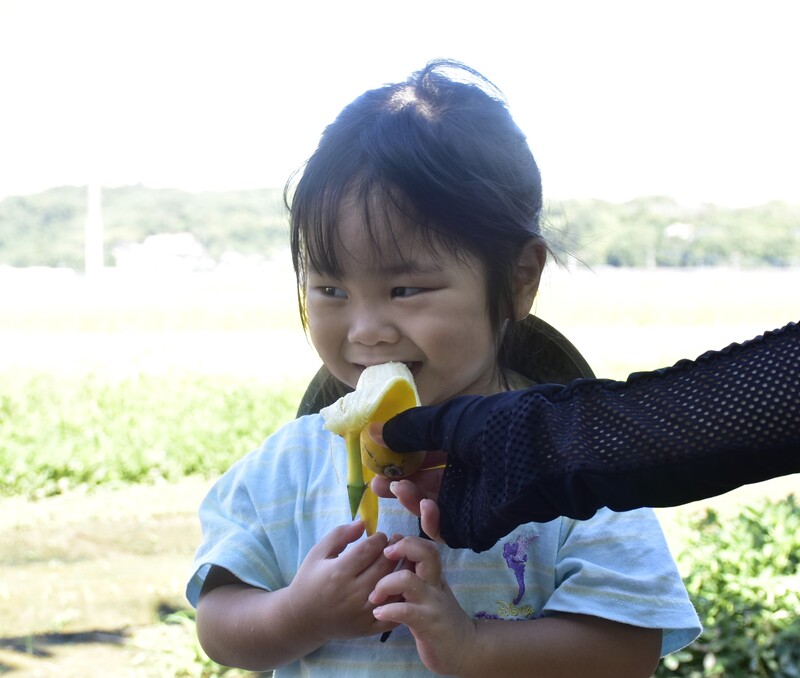 収穫したバナナを試食している小さな子供