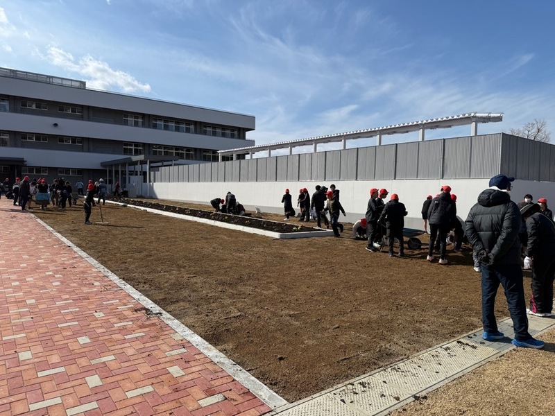 芝を植え終わった後の様子