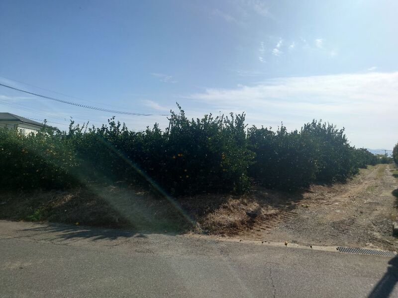 宇城市不知火町長崎の用地写真