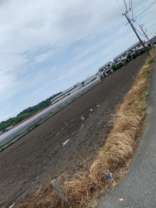 宇城市不知火町亀松 2の用地写真