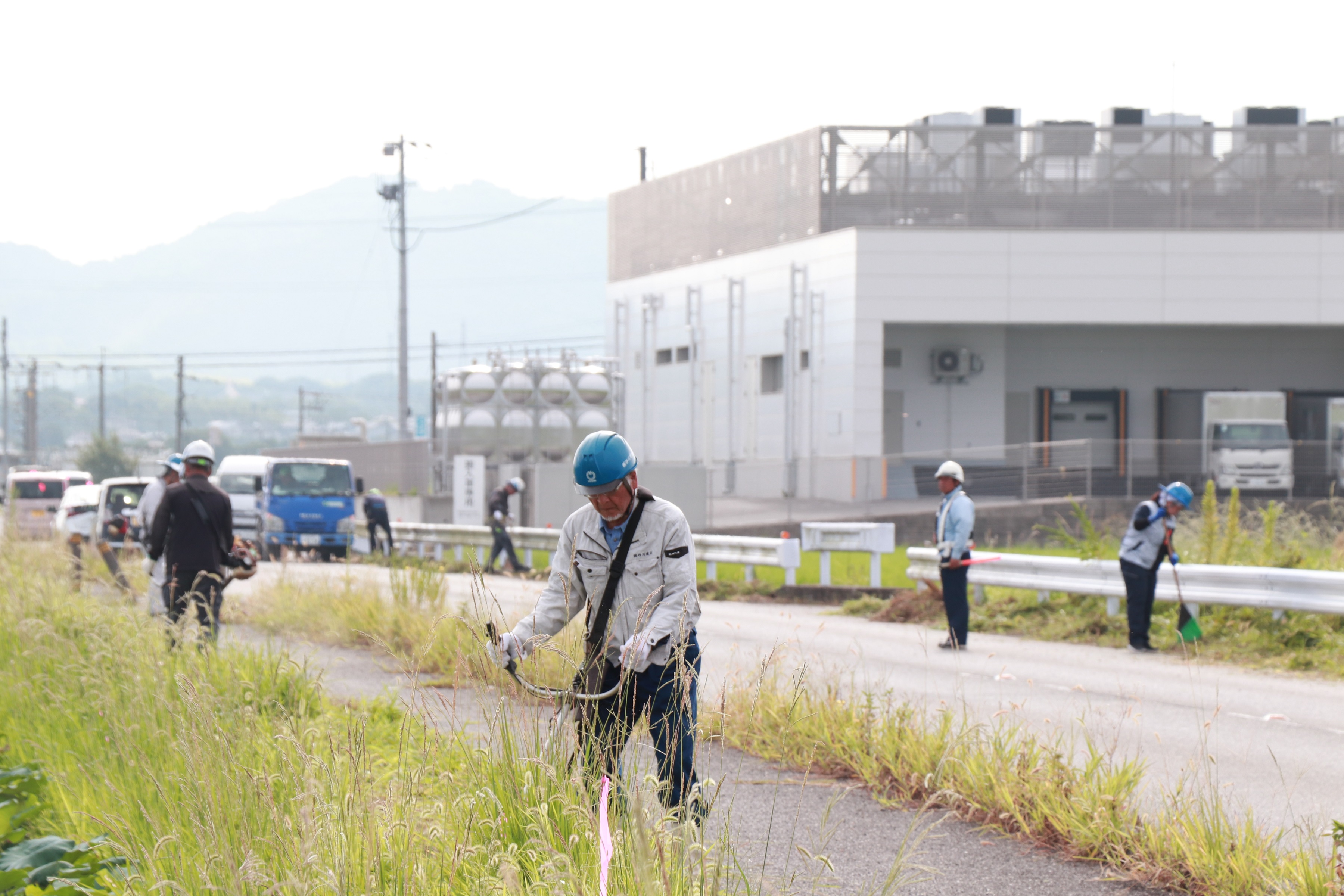 暑い中、除草作業を行う参加者の様子の写真