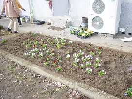 花を植えたばかりの花壇の写真