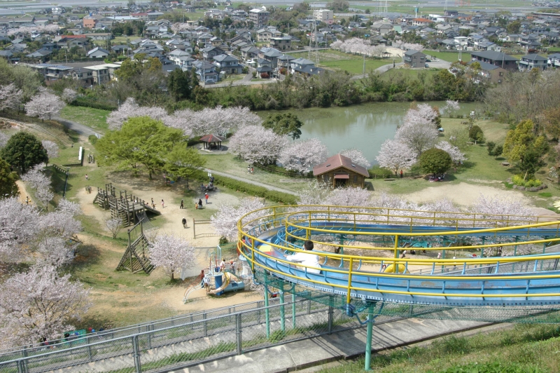 岡岳公園 ローラー滑り台の上から撮影した写真