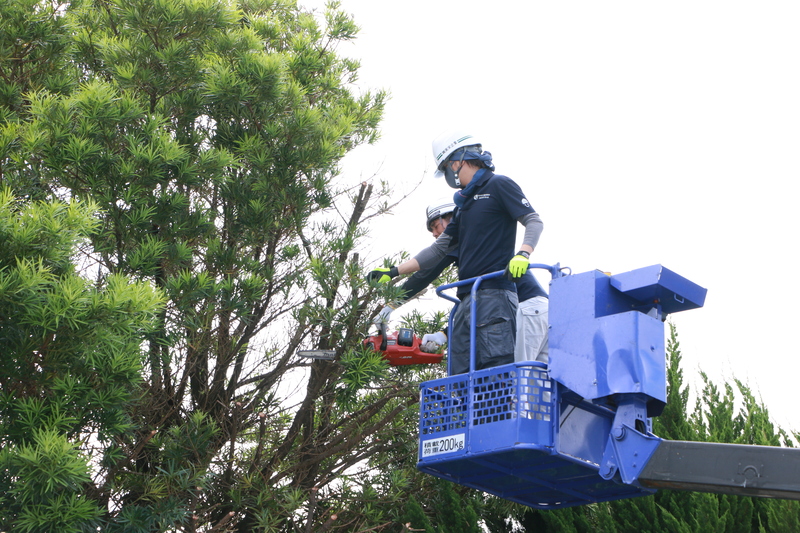高所作業車で伸びた樹木の伐採作業中の写真