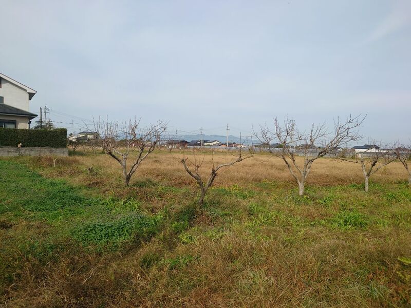 宇城市小川町南新田の用地写真