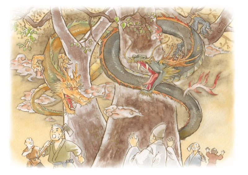 小川の昔ばなし　竜が出た神木の樟のイラスト画像
