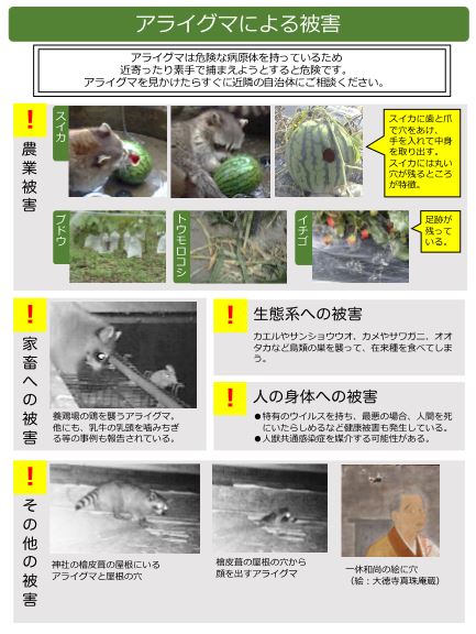 アライグマからの被害画像.jpg