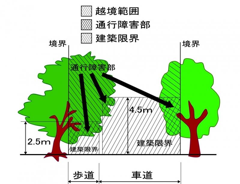 樹木竹林伐採説明画像