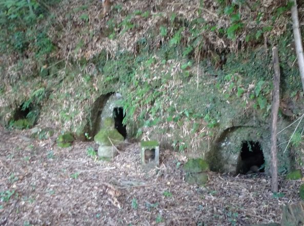 小園横穴古墳群の写真