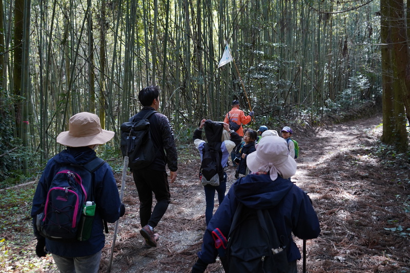 登山の様子
