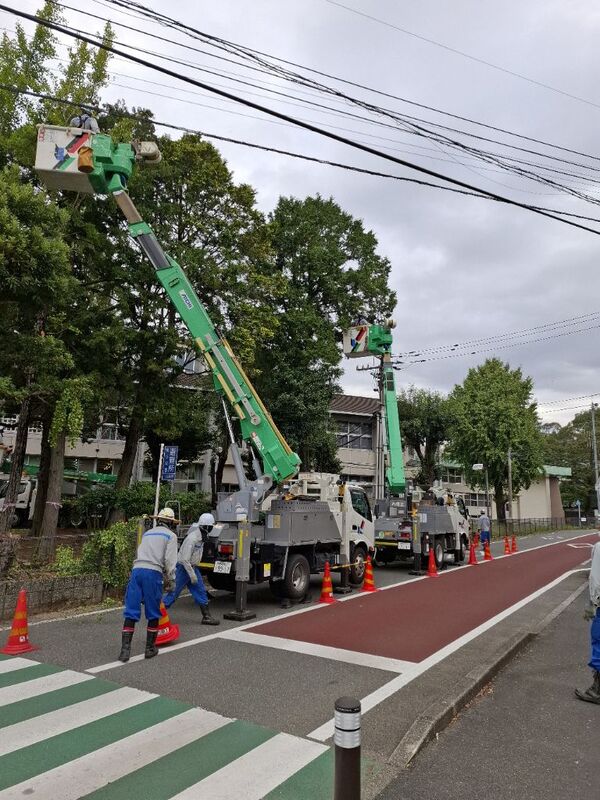高所作業車で伐採をする様子1