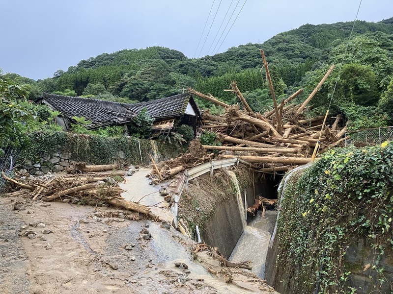 大量の木材が流れて住宅の横に流れ着いている様子