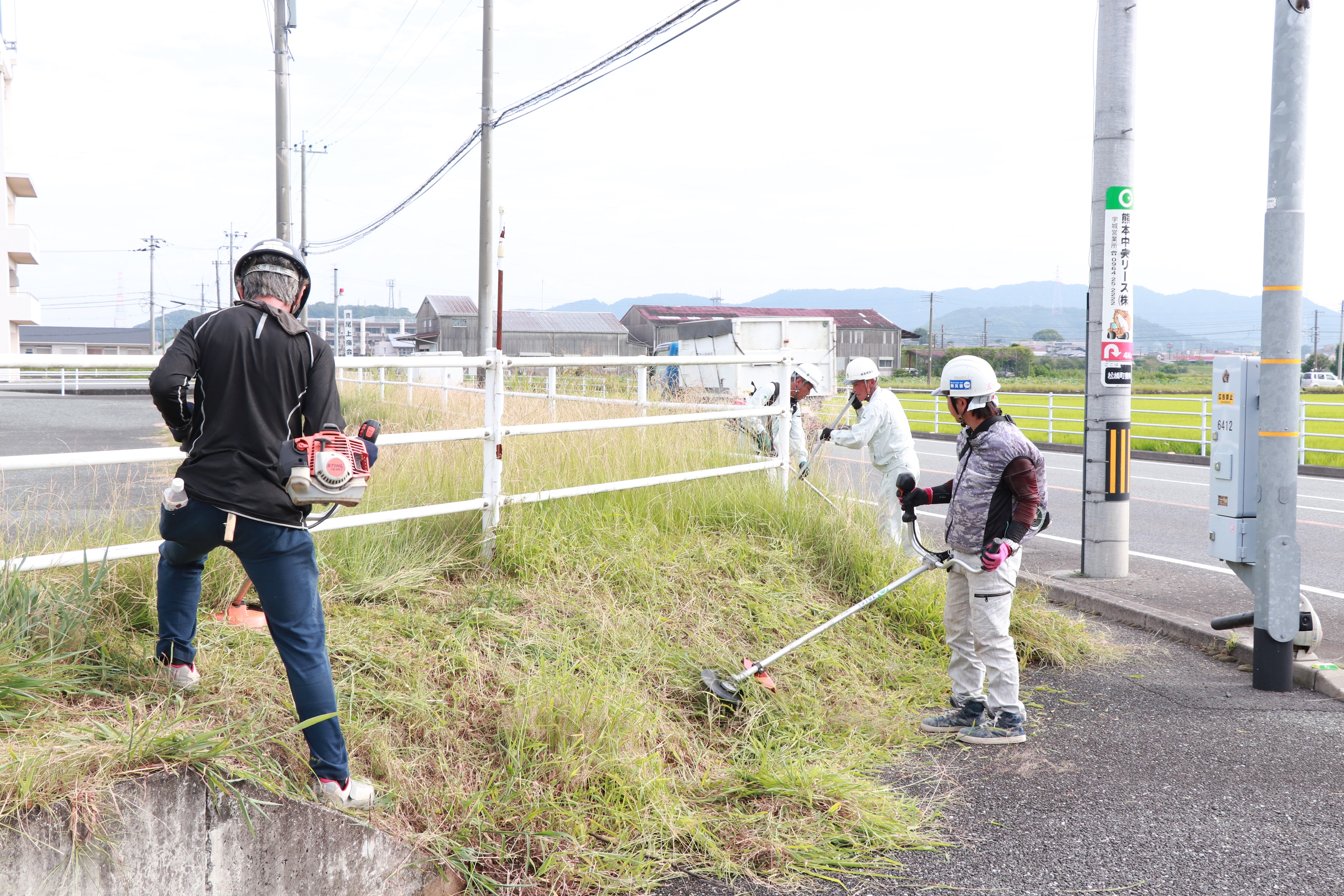 斜面で除草作業を行う参加者の様子の写真