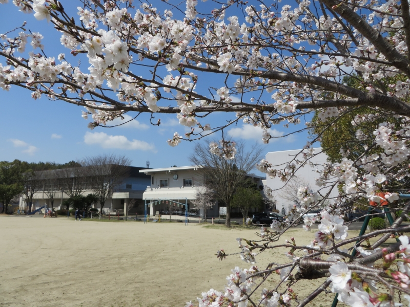 グラウンドから見た小川小学校の外観