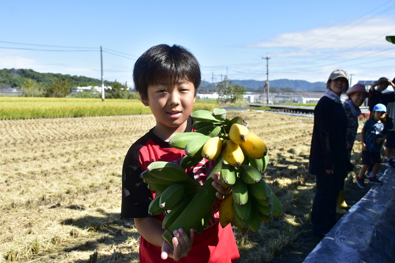 収穫されたバナナを抱える子供