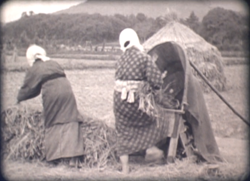 映像「伸びゆく豊野」の農作業の写真