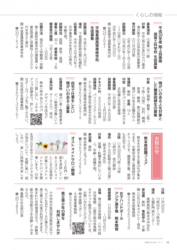 P36の画像