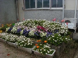花が咲き誇る花壇の写真