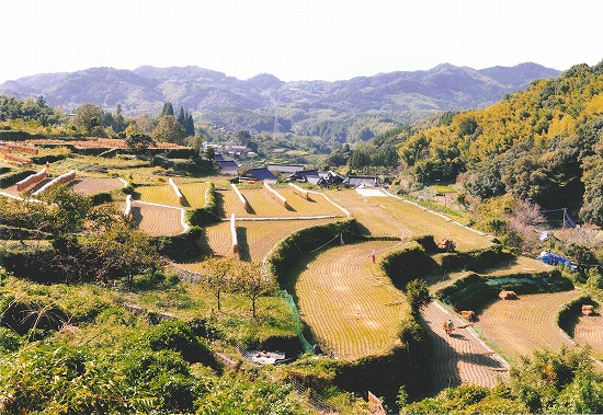 舞鴫の棚田風景の写真 齊藤 守さん（熊本市）撮影