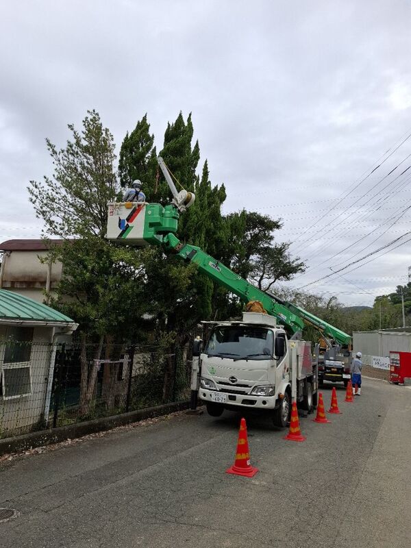 高所作業車で伐採をする様子2