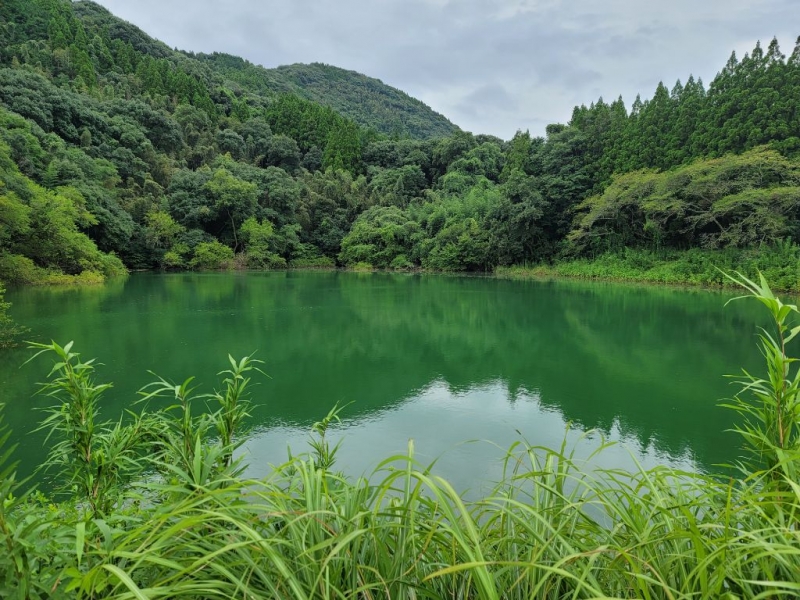 西川ため池公園の写真