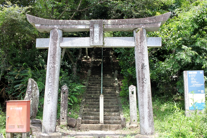 ウォーキング１.JPG
