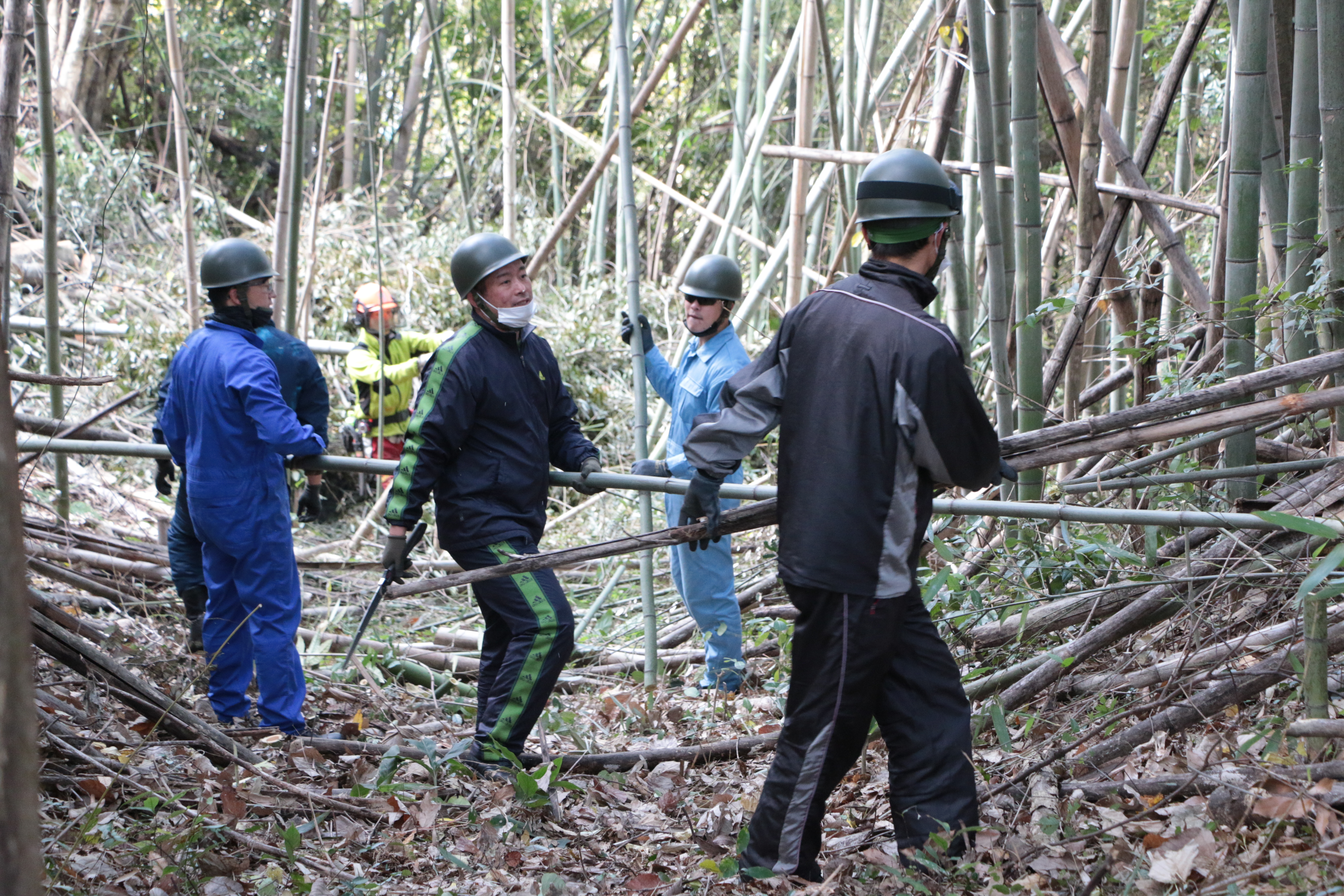 陸上自衛隊の西部方面航空野整備隊が周辺の竹刈りを行っている写真