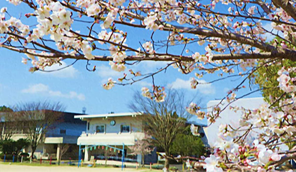 小川小学校校舎と桜の写真